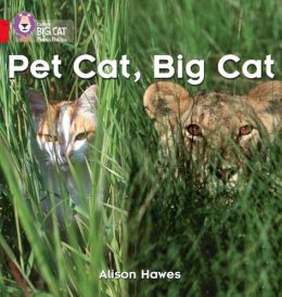 Alison Hawes - Pet Cat, Big Cat: Band 02A/Red A (Collins Big Cat Phonics) - 9780007235872 - V9780007235872