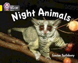 Louise Spilsbury - Night Animals: Band 03/Yellow (Collins Big Cat) - 9780007412952 - V9780007412952