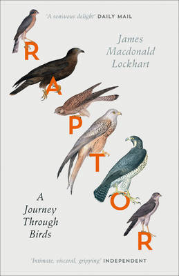 James Macdonald Lockhart - Raptor: A Journey Through Birds - 9780007459896 - V9780007459896