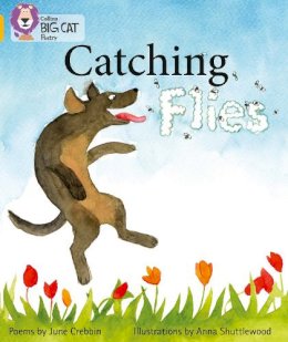 June Crebbin - Catching Flies: Band 09/Gold (Collins Big Cat) - 9780007461813 - V9780007461813