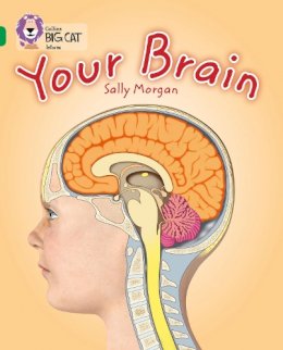Sally Morgan - Your Brain: Band 15/Emerald (Collins Big Cat) - 9780007465453 - V9780007465453
