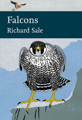 Richard Sale - Falcons (Collins New Naturalist Library, Book 132) - 9780007511419 - V9780007511419