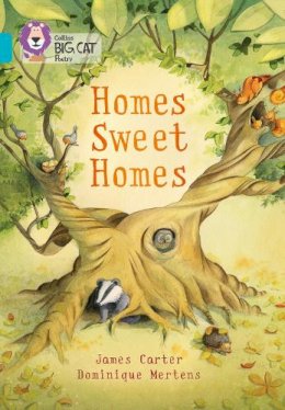 James Carter - Homes Sweet Homes: Turquoise/Band 07 (Collins Big Cat) - 9780007591107 - V9780007591107