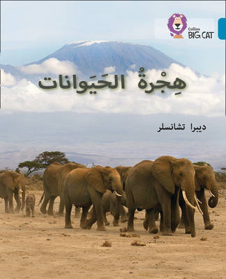 Deborah Chancellor - Animal Migration: Level 13 (Collins Big Cat Arabic Reading Programme) - 9780008131593 - V9780008131593
