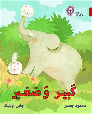 Mahmoud Gaafar - Big and Small: Level 2 (KG) (Collins Big Cat Arabic Reading Programme) - 9780008156282 - V9780008156282