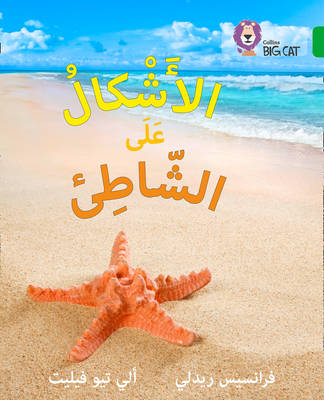 Francis Ridley - Shapes on the Seashore: Level 5 (Collins Big Cat Arabic Reading Programme) - 9780008156411 - V9780008156411