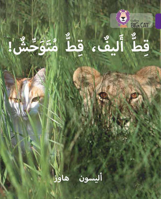 Alison Hawes - Tame Cat, Wild Cat: Level 8 (Collins Big Cat Arabic Reading Programme) - 9780008156473 - V9780008156473