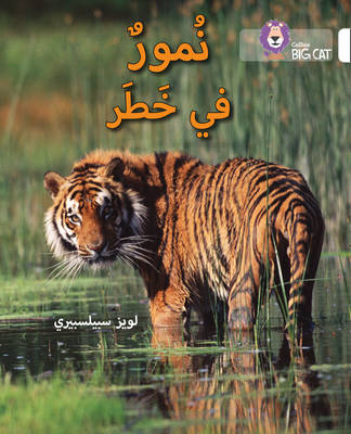Louise Spilsbury - Tigers in Danger: Level 10 (Collins Big Cat Arabic Reading Programme) - 9780008156510 - V9780008156510