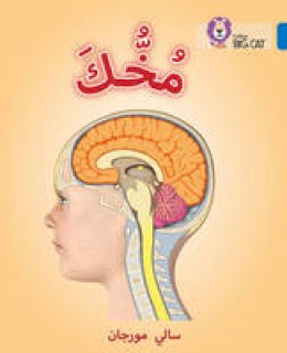 Sally Morgan - Your Brain: Level 16 (Collins Big Cat Arabic Reading Programme) - 9780008156725 - V9780008156725