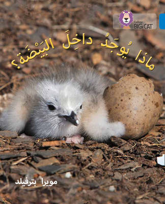 Moira Butterfield - What´s in the Egg?: Level 4 (Collins Big Cat Arabic Reading Programme) - 9780008185565 - V9780008185565