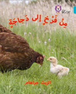 Elspeth Graham - Chick to Hen: Level 7 (Collins Big Cat Arabic Reading Programme) - 9780008185626 - V9780008185626