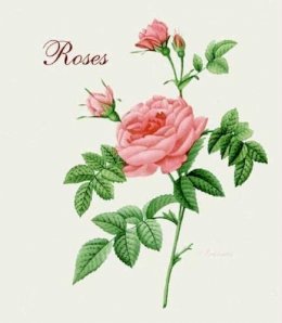 Pierre Joseph Redoute - Roses: Mini Archive with DVD - 9780062039552 - V9780062039552