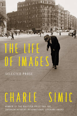 Charles Simic - The Life of Images: Selected Prose - 9780062364739 - V9780062364739