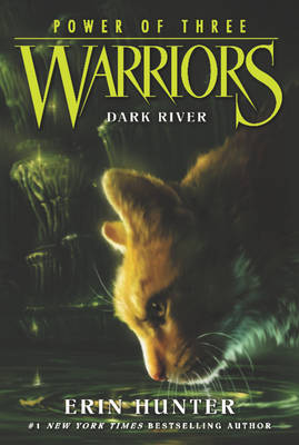 Erin Hunter - Warriors: Power of Three #2: Dark River - 9780062367099 - V9780062367099