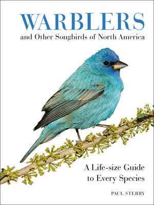 Paul Sterry - Warblers and Other Songbirds of North America: A Life-size Guide to Every Species - 9780062446817 - V9780062446817