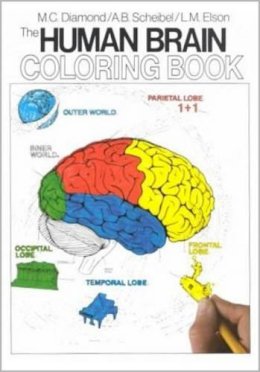 Diamond, Marion C.; Scheibel, Arnold B.; Elson, L. M. - The Human Brain Colouring Book - 9780064603065 - V9780064603065