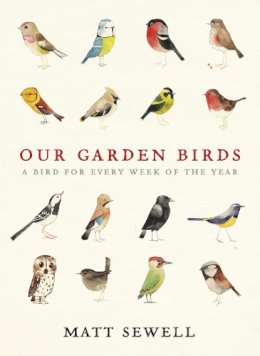 Matt Sewell - Our Garden Birds: a stunning illustrated guide to the birdlife of the British Isles - 9780091945008 - V9780091945008