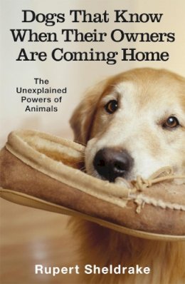 Rupert Sheldrake - Dogs That Know When Their Owners are Coming Home - 9780099255871 - V9780099255871