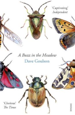 Dave Goulson - A Buzz in the Meadow: Dave Goulson - 9780099597698 - 9780099597698