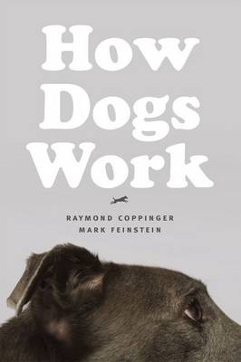 Raymond Coppinger - How Dogs Work - 9780226128139 - V9780226128139
