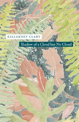 Killarney Clary - Shadow of a Cloud but No Cloud - 9780226177984 - V9780226177984