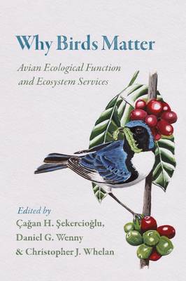 Cagan Sekercioglu - Why Birds Matter: Avian Ecological Function and Ecosystem Services - 9780226382630 - V9780226382630