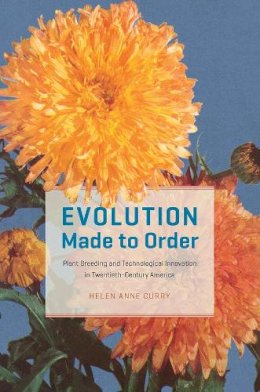 Helen Anne Curry - Evolution Made to Order: Plant Breeding and Technological Innovation in Twentieth-Century America - 9780226390086 - V9780226390086