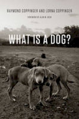 Raymond Coppinger - What Is a Dog? - 9780226478227 - V9780226478227