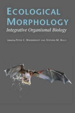 Peter C. Wainwright (Ed.) - Ecological Morphology - 9780226869957 - V9780226869957