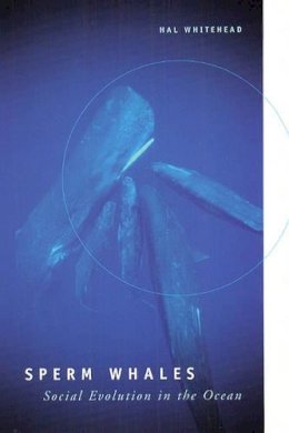 Hal Whitehead - Sperm Whales: Social Evolution in the Ocean - 9780226895185 - V9780226895185