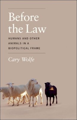 Cary Wolfe - Before the Law - 9780226922409 - V9780226922409