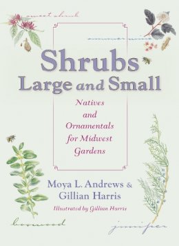 Moya L. Andrews - Shrubs Large and Small: Natives and Ornamentals for Midwest Gardens - 9780253009067 - V9780253009067