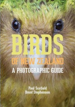 Paul Scofield - Birds of New Zealand: A Photographic Guide - 9780300196825 - V9780300196825