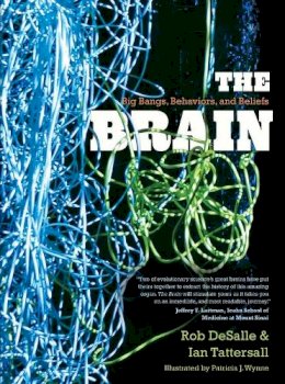 Rob Desalle - The Brain: Big Bangs, Behaviors, and Beliefs - 9780300205725 - V9780300205725