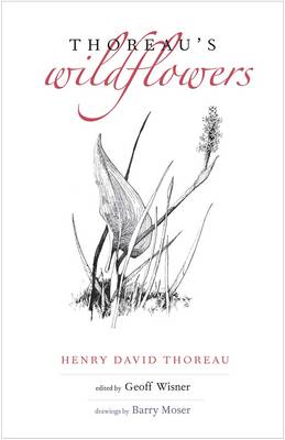 Henry David Thoreau - Thoreau´s Wildflowers - 9780300214772 - V9780300214772