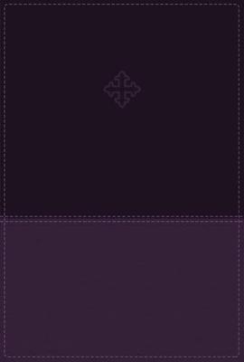 Thomas Nelson - Amplified Study Bible, Imitation Leather, Purple - 9780310446521 - V9780310446521