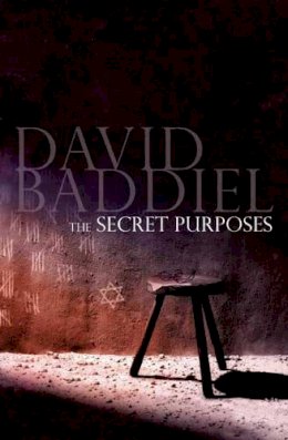 David Baddiel - The Secret Purposes - 9780316725767 - KEX0230789