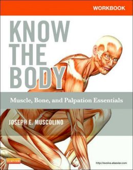 Joseph E. Muscolino - Workbook for Know the Body: Muscle, Bone, and Palpation Essentials - 9780323086837 - V9780323086837