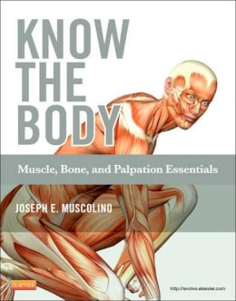 Joseph E. Muscolino - Know the Body: Muscle, Bone, and Palpation Essentials - 9780323086844 - V9780323086844