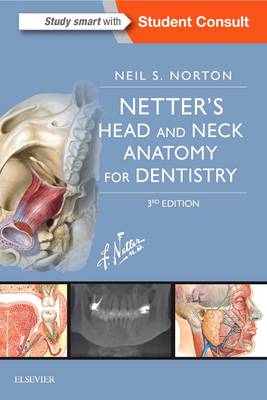 Neil Scott Norton - Netter´s Head and Neck Anatomy for Dentistry - 9780323392280 - V9780323392280