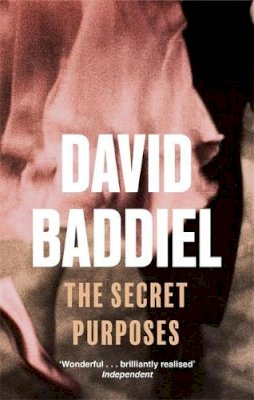 David Baddiel - The Secret Purposes - 9780349117461 - KNW0006336