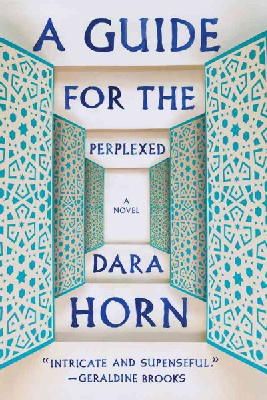 Dara Horn - A Guide for the Perplexed: A Novel - 9780393348880 - V9780393348880