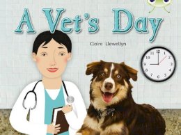 Claire Llewellyn - A Vet's Day (Green B) NF 6-pack (BUG CLUB) - 9780433013938 - V9780433013938