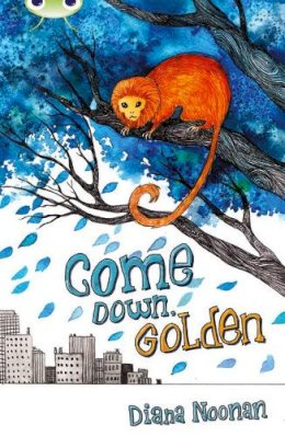 Diana Noonan - Bug Club Independent Fiction Year 3 Brown A Come Down, Golden - 9780435075804 - V9780435075804