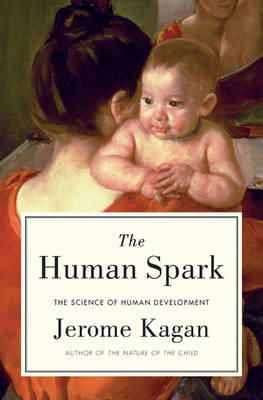 Jerome Kagan - Possibility of a Child - 9780465029822 - V9780465029822