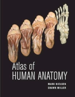 Mark Nielsen - Atlas of Human Anatomy - 9780470501450 - V9780470501450