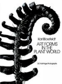 Karl Blossfeldt - Art Forms in the Plant World - 9780486249902 - V9780486249902