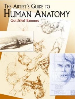 Gottfried Bammes - The Artist´s Guide to Human Anatomy - 9780486436418 - V9780486436418