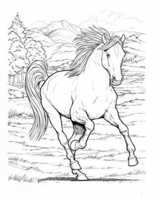John Green - Wonderful World of Horses Coloring Book - 9780486444659 - V9780486444659