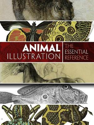 Carol Belan Grafton - Animal Illustration: The Essential Reference - 9780486799865 - V9780486799865